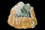 Blue Bladed Barite Crystal Clusters with Calcite - Morocco #138293-1